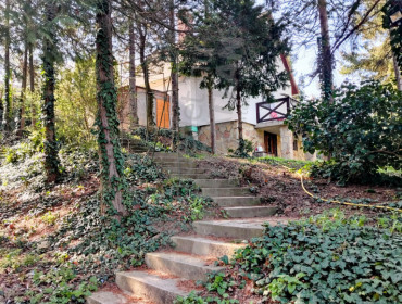 Rozmaring utca-aba-rozmaring-utca_24.jpg