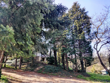 Rozmaring utca-aba-rozmaring-utca_32.jpg