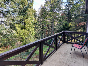 Rozmaring utca-aba-rozmaring-utca_5.jpg