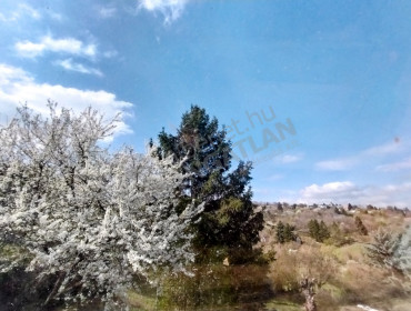 Rozmaring utca-aba-rozmaring-utca_7.jpg