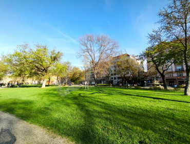 Diószegi Sámuel utca-budapest-viii-kerulet-dioszegi-samuel-utca_10.jpg