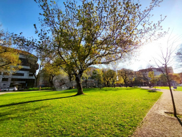 Diószegi Sámuel utca-budapest-viii-kerulet-dioszegi-samuel-utca_11.jpg