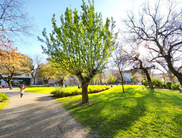 Illés utca-budapest-viii-kerulet-illes-utca_27.jpg