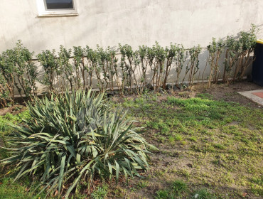 Thaly Kálmán utca-budapest-iv-kerulet-thaly-kalman-utca_10.jpg