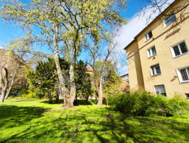 Erzsébet királyné útja-budapest-xiv-kerulet-erzsebet-kiralyne-utja_20.jpg