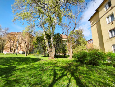 Erzsébet királyné útja-budapest-xiv-kerulet-erzsebet-kiralyne-utja_21.jpg