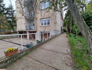 Búzavirág utca-budapest-ii-kerulet-buzavirag-utca_19.jpg