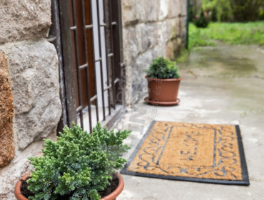 Lotz Károly utca-budapest-ii-kerulet-lotz-karoly-utca_17.jpg