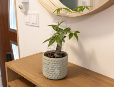 Lotz Károly utca-budapest-ii-kerulet-lotz-karoly-utca_6.jpg