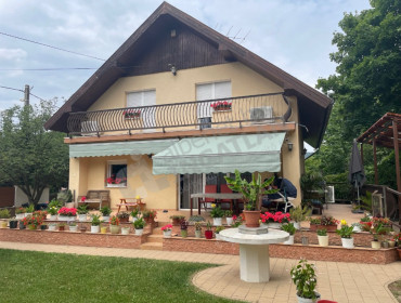 Szamorodni utca