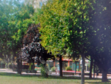 Margitliget utca-budapest-iii-kerulet-margitliget-utca_8.jpg
