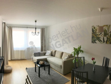 Holló utca