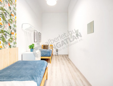 Akácfa utca-budapest-vii-kerulet-akacfa-utca_15.jpg
