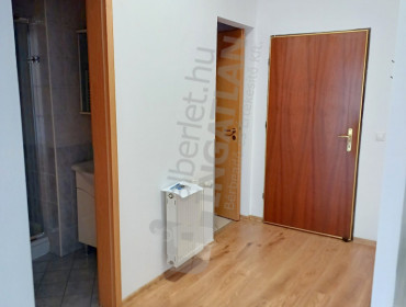 Pannónia utca-budapest-xiii-kerulet-pannonia-utca_6.jpg