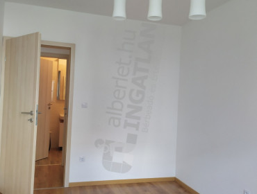 Lenhossék utca-budapest-ix-kerulet-lenhossek-utca_7.jpg