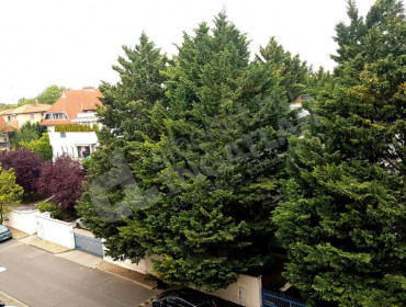 Huszt utca-budapest-xiv-kerulet-huszt-utca_8.jpg