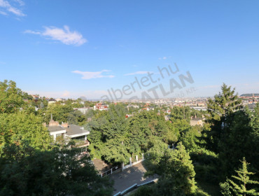 Alvinci út-budapest-ii-kerulet-alvinci-ut_25.jpg