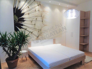 Horánszky utca-budapest-viii-kerulet-horanszky-utca_22.jpg