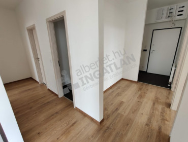 Bíró László József körút-budapest-xi-kerulet-biro-laszlo-jozsef-korut_16.jpg